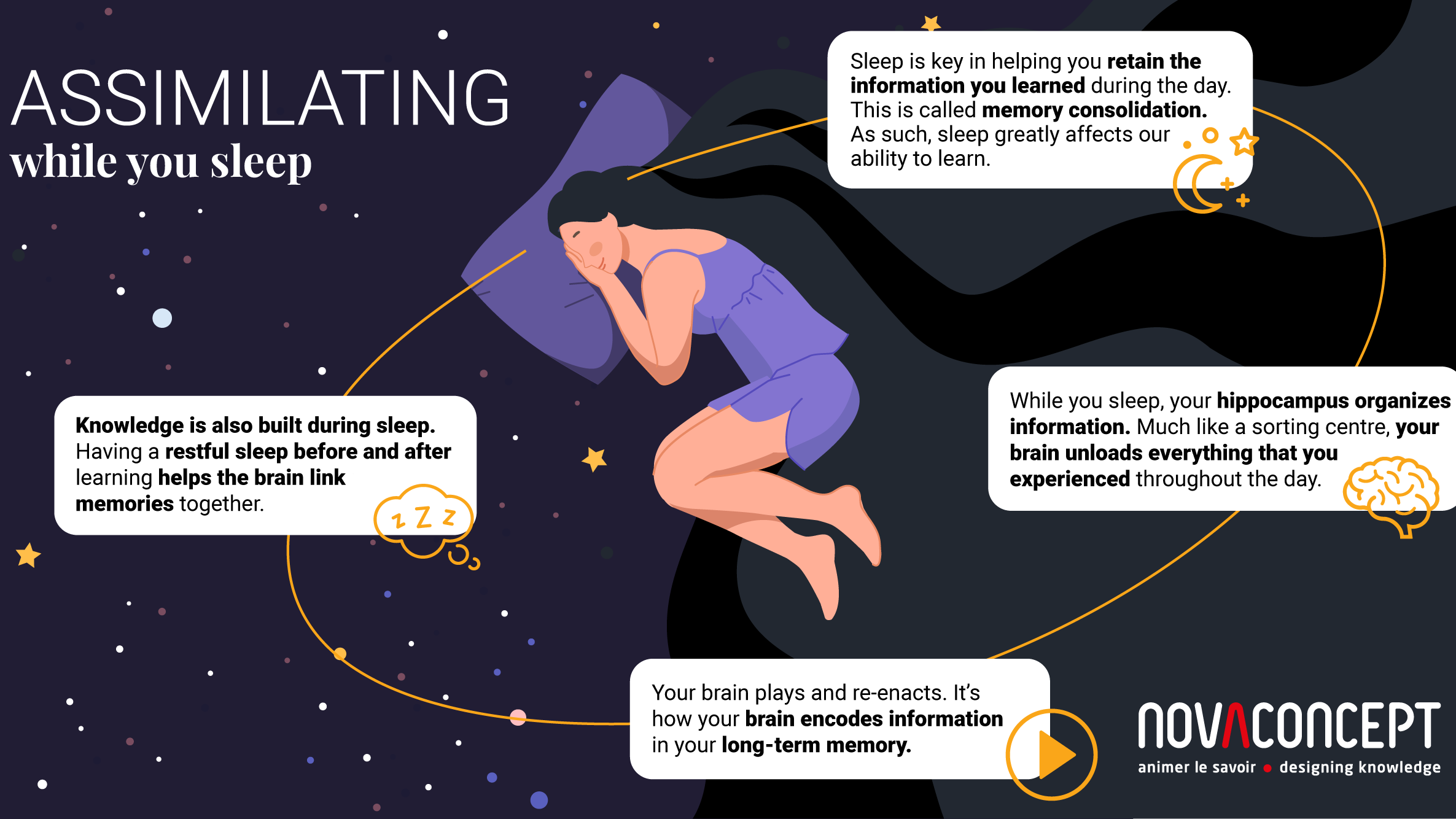 Infographic detailing how the brain learns while we sleep.