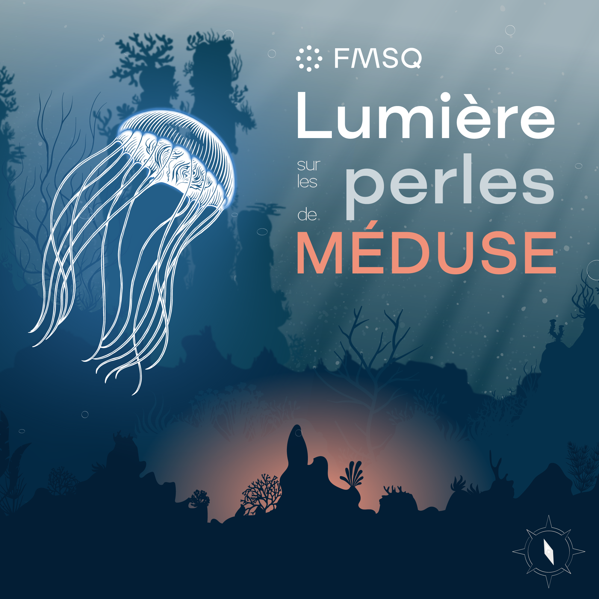 Aperçu du projet FMSQ - Lumière sur les perles de Méduse